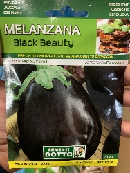 Melanzana black beauty tonda BUSTA SEMI