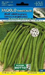Fagiolino Nano Rampicante BLUE LAKE 250 grammi BUSTA SEMI