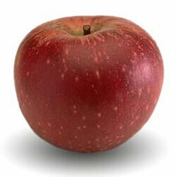 Melo Stayman Red - Malus domestica - Mela -  vaso 24