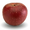Melo Stayman Red - Malus domestica - Mela -  vaso 24