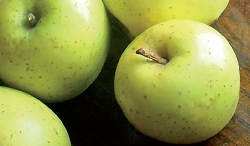 Melo Limoncella - Malus domestica - vaso 24