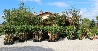 Ciliegio 'Bigarreau Burlat', Prunus avium 'Bigarreau Burlat' - vaso Ø25 cm,-0