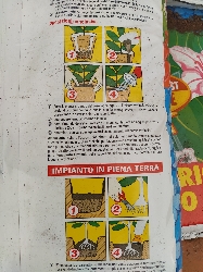 TERRICCIO PER ORTENSIE ACIDOFILE 10 litri-4