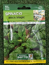 SPINACIO BLACK MAGIC BUSTA SEMI