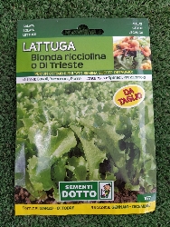 LATTUGA BIONDA RICCIOLINA O DI TRIESTE BUSTA SEMI