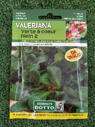 VALERIANA BUSTA