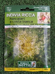 INVIDIA RICCIA BUSTA