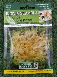 INVIDIA SCAROLA BUSTA SEMI