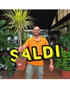 OFFERTE SPECIALI