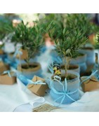 EVENTI, CELEBRAZIONI & FIORI RECISI